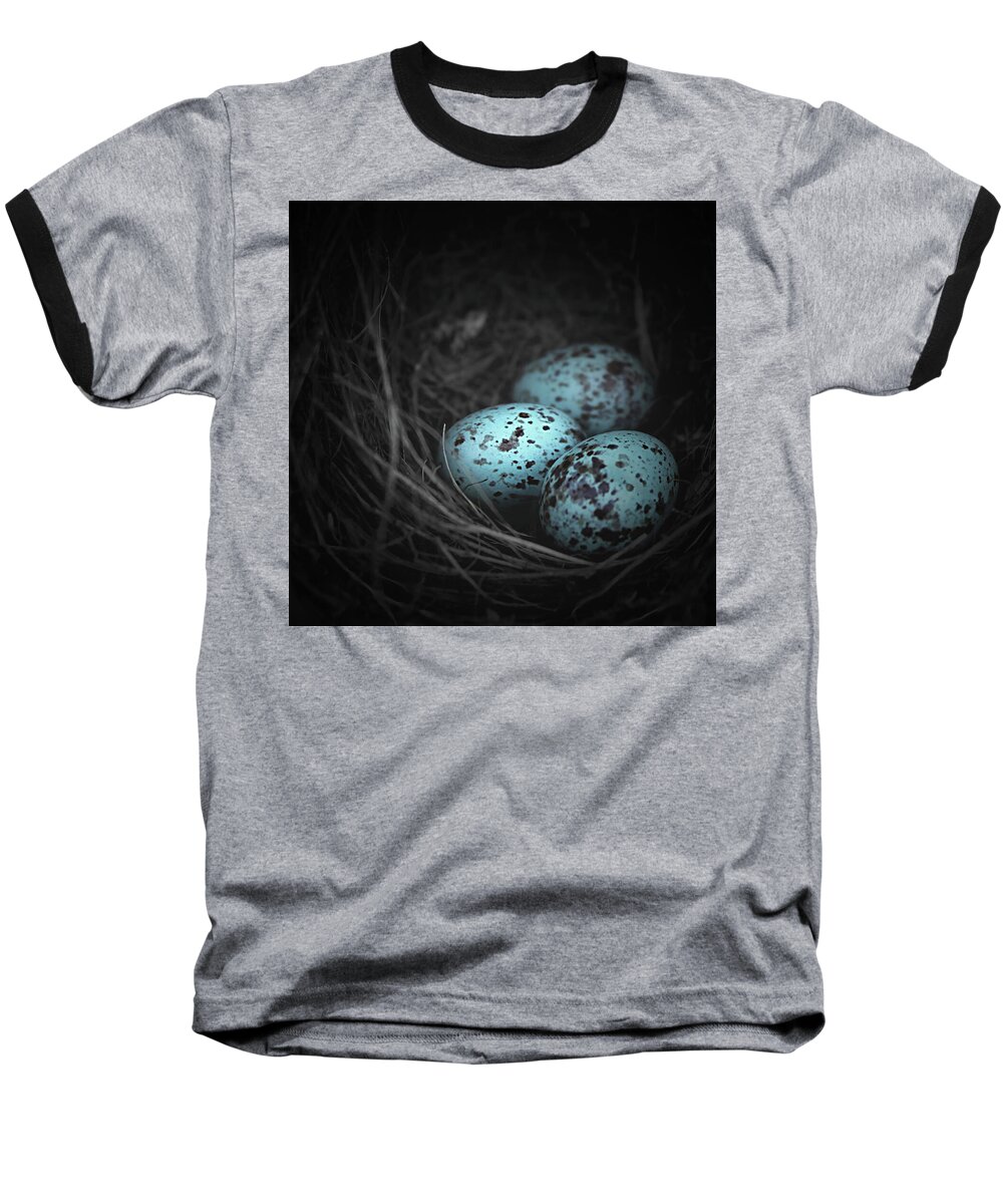 Bird's Nest Baseball T-Shirt featuring the photograph Nest of 3 by Trish Mistric