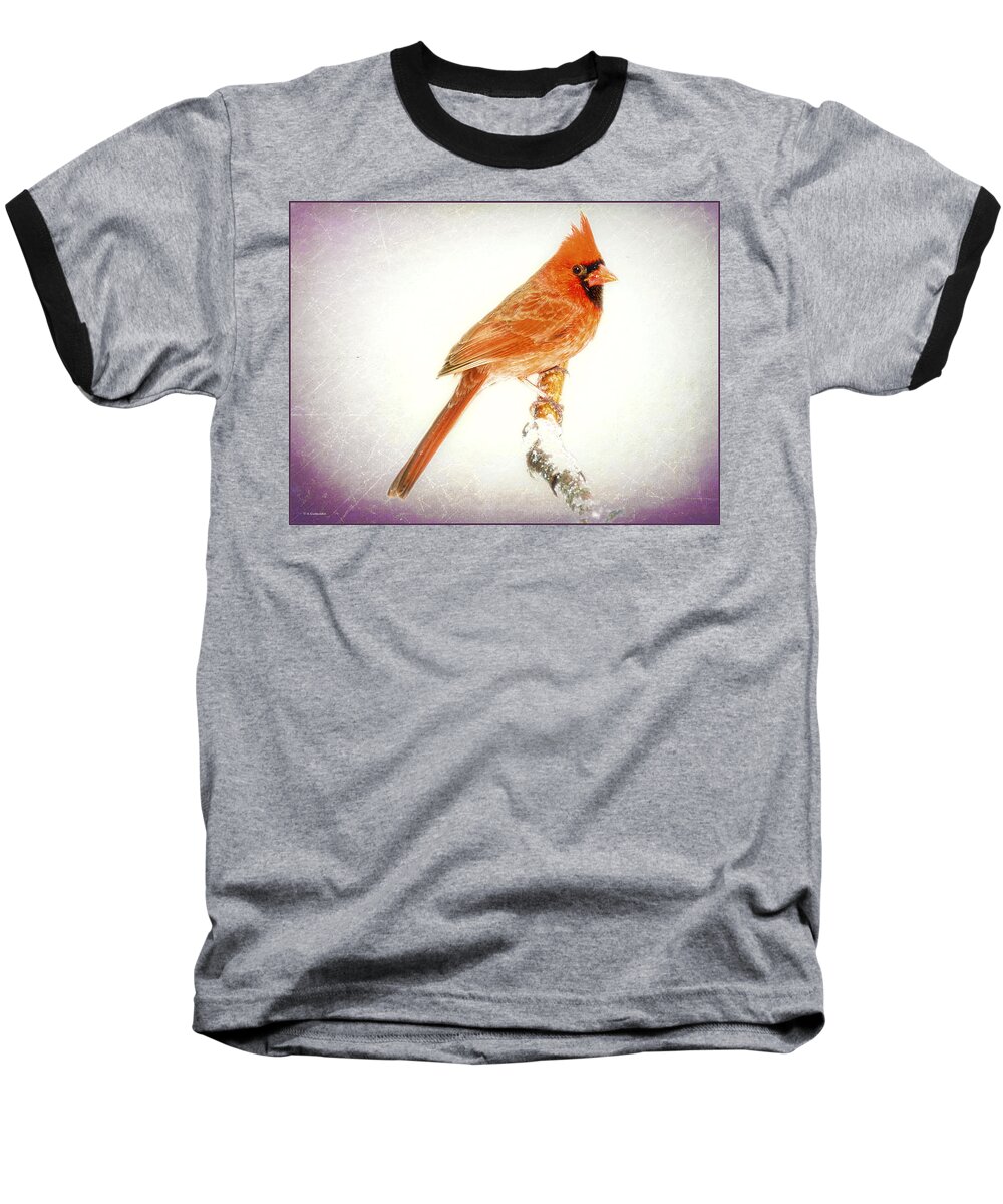 Nature Baseball T-Shirt featuring the photograph Northern Cardinal, Male by A Macarthur Gurmankin