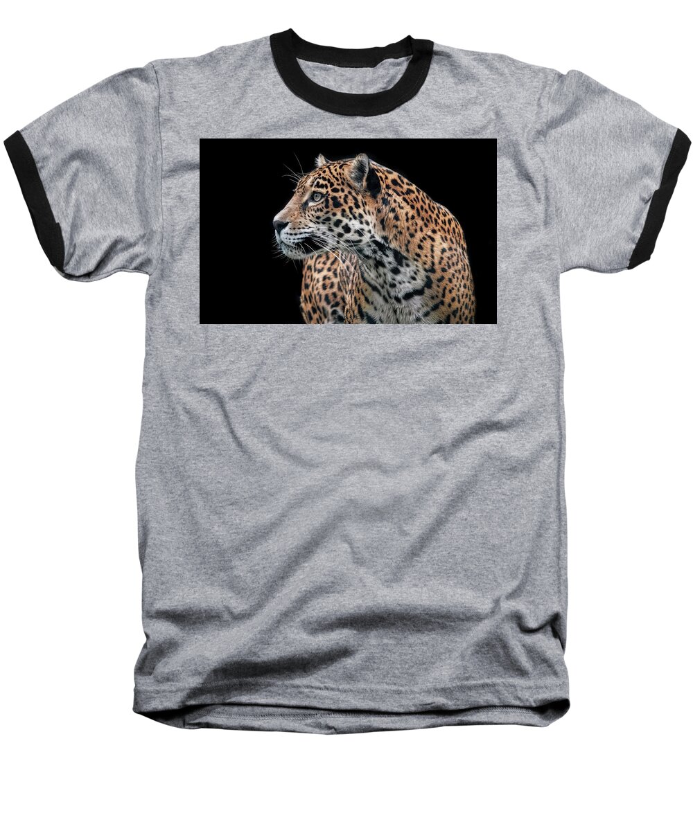 Cats Baseball T-Shirt featuring the photograph Observant Jaguar by Elaine Malott