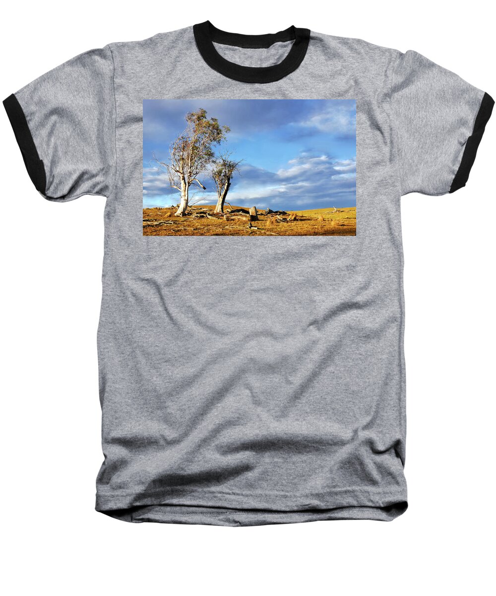 Australian Trees Series By Lexa Harpell Baseball T-Shirt featuring the photograph On the Road to Cooma by Lexa Harpell