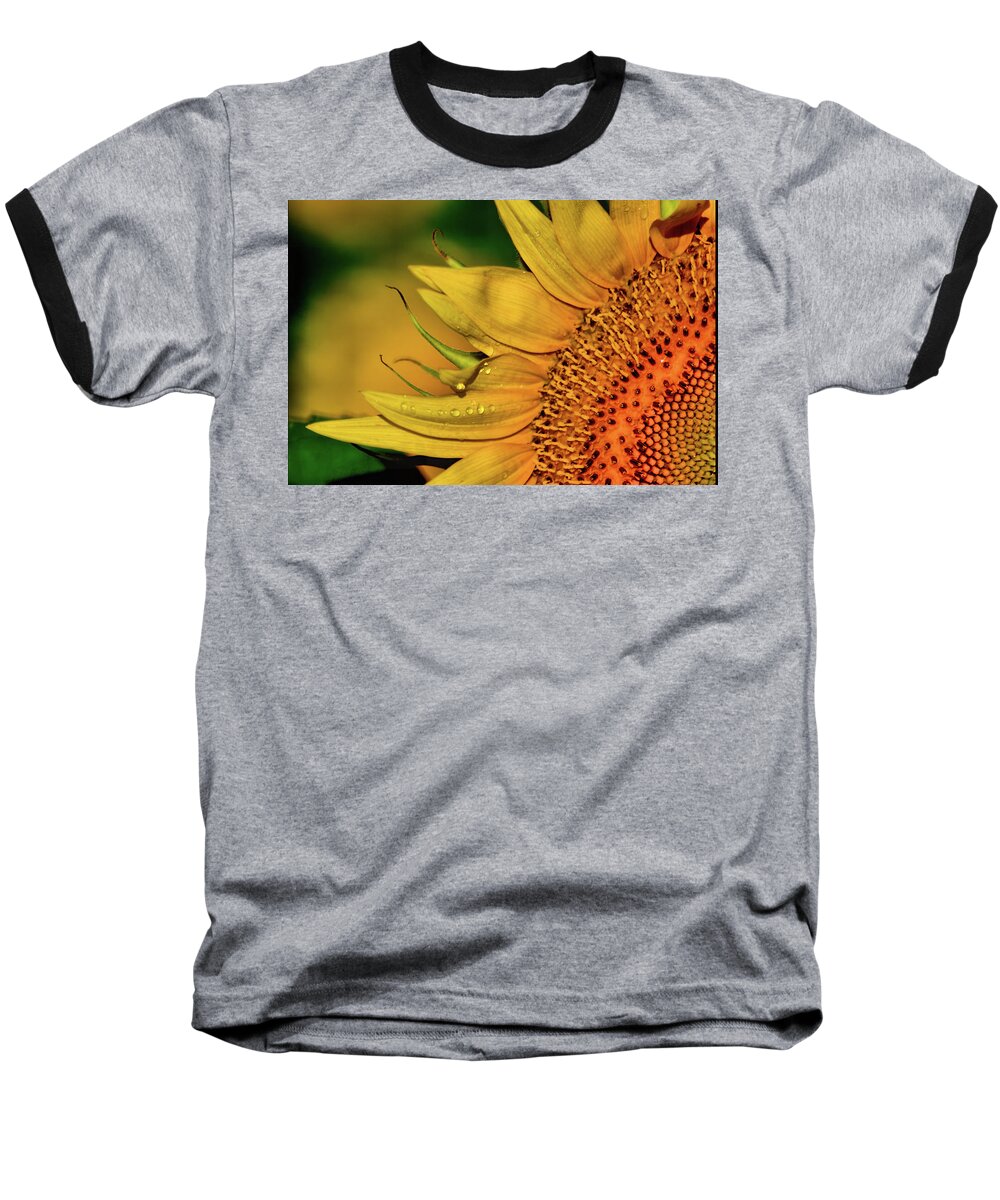 Plants Baseball T-Shirt featuring the photograph On the sunny side by Buddy Scott