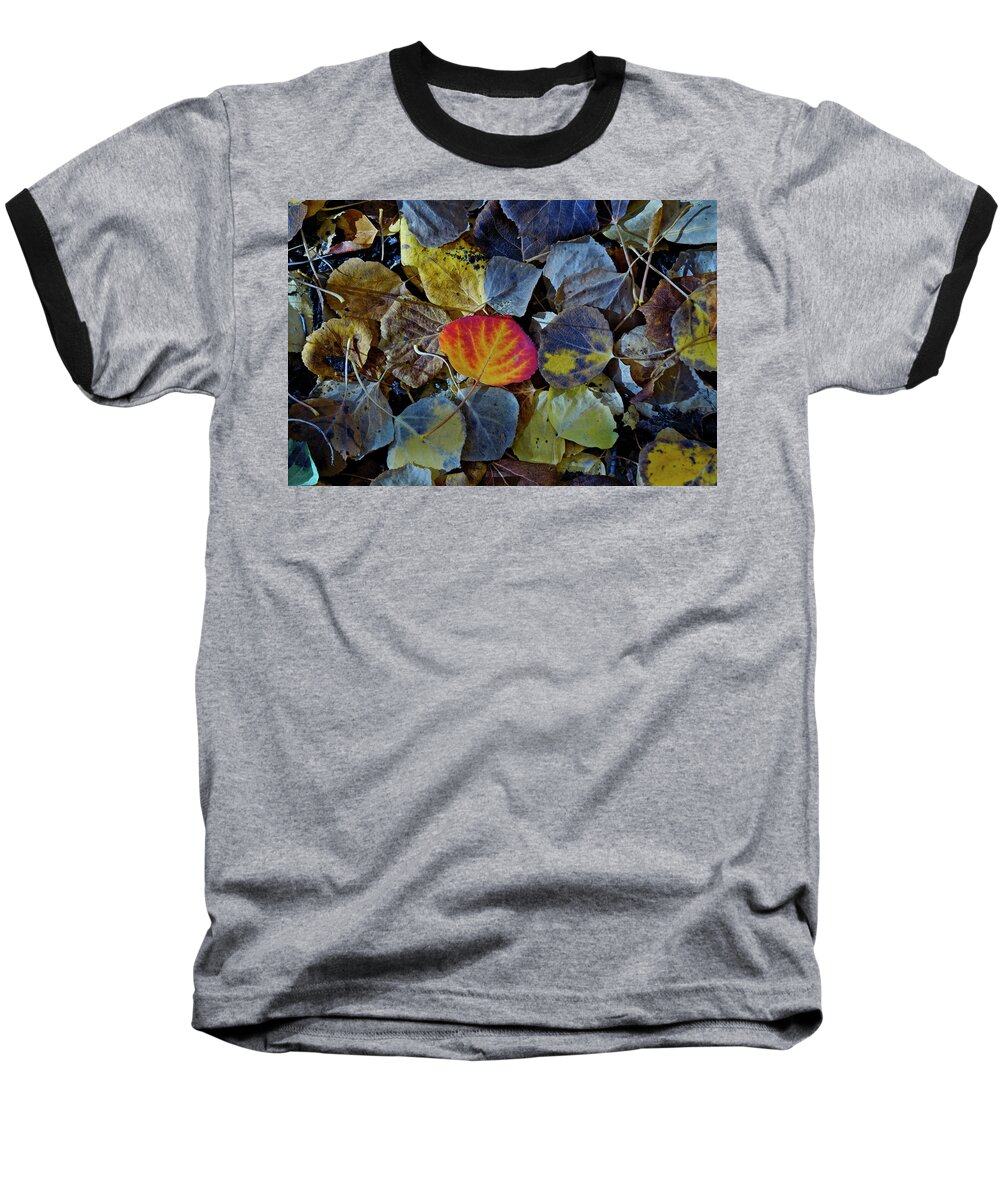 Leaves Baseball T-Shirt featuring the photograph One Leaf by Jeremy Rhoades