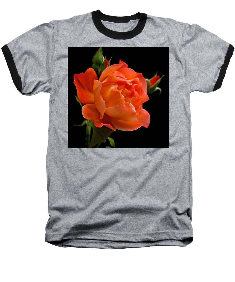 Rose Baseball T-Shirt featuring the photograph Orange Rose July 2021 by Richard Cummings