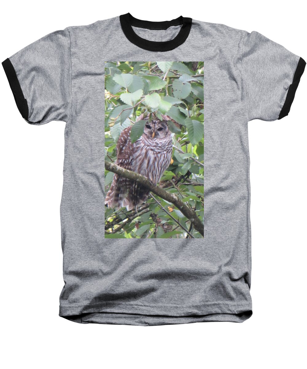 Owl Baseball T-Shirt featuring the photograph Our Backyard Owl by Joyce Gebauer