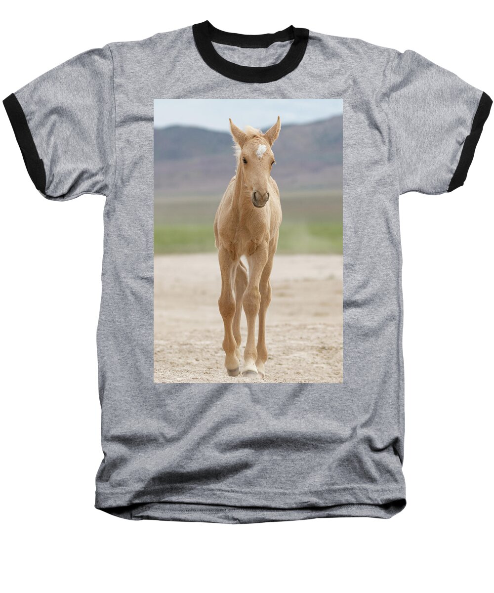 Horses Baseball T-Shirt featuring the photograph Palomino Foal by Mary Hone
