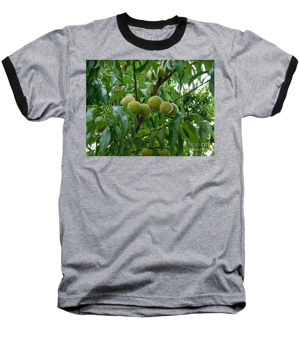 Tree Baseball T-Shirt featuring the photograph Peaches by Chris Tarpening