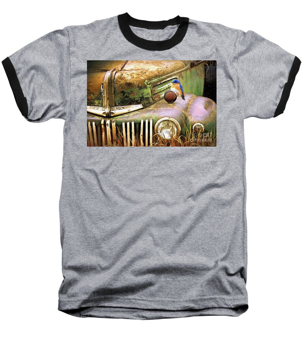  Ford Truck Baseball T-Shirt featuring the painting Perched On The Old Ford by Tina LeCour