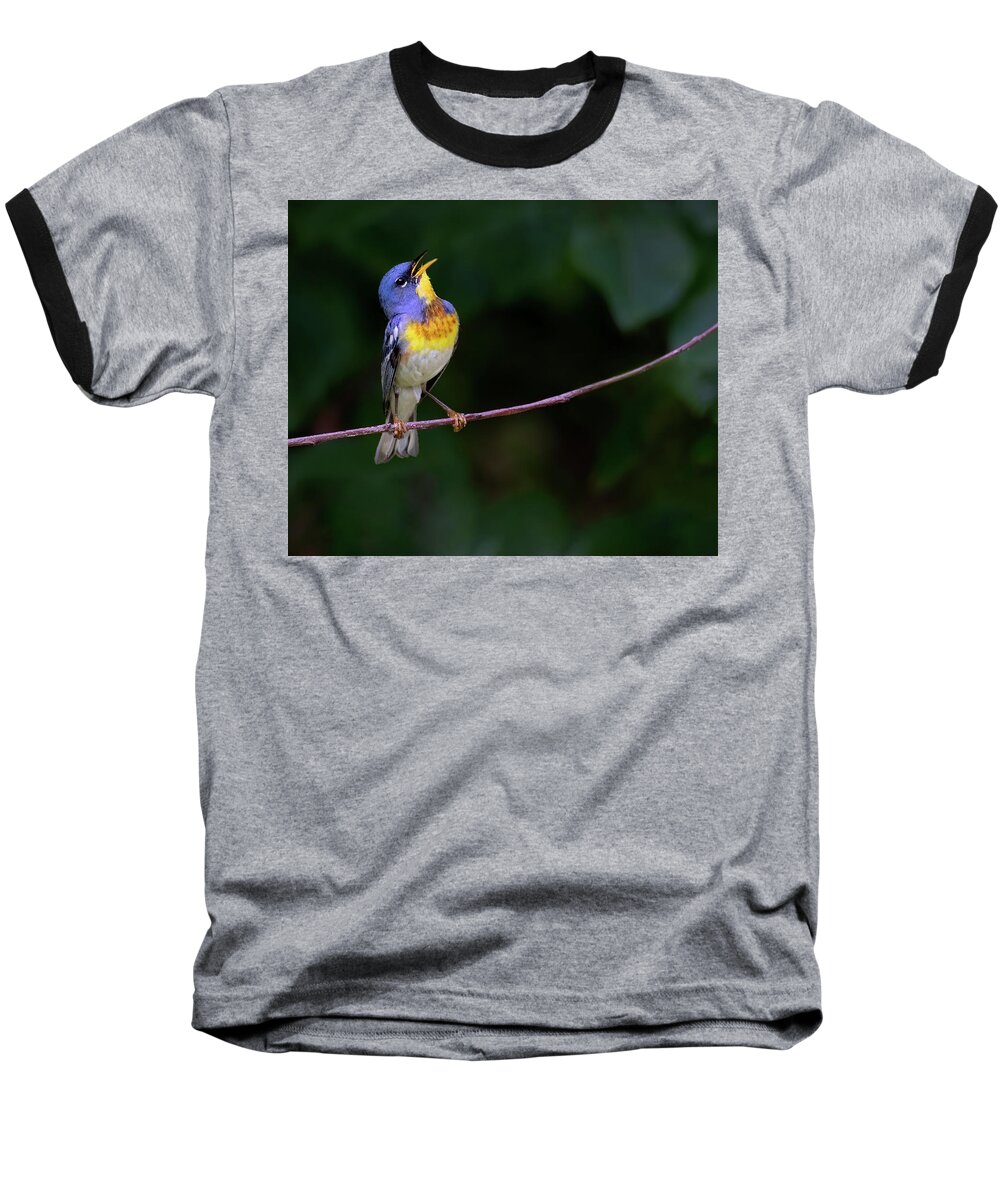 Bird Baseball T-Shirt featuring the photograph Perula Melodies by Art Cole
