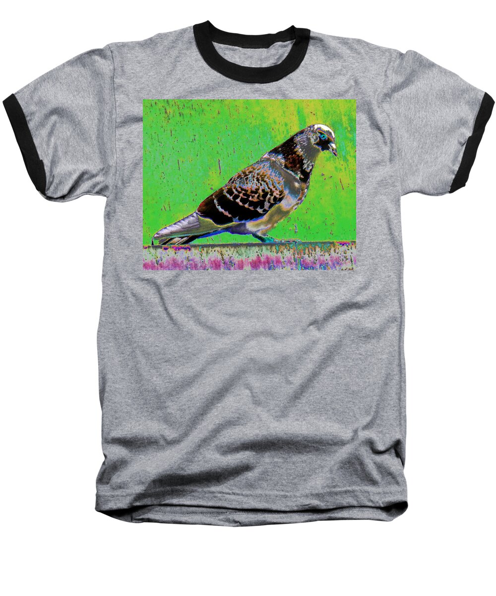 Bird Baseball T-Shirt featuring the photograph Pidge On A Bridge by Andrew Lawrence