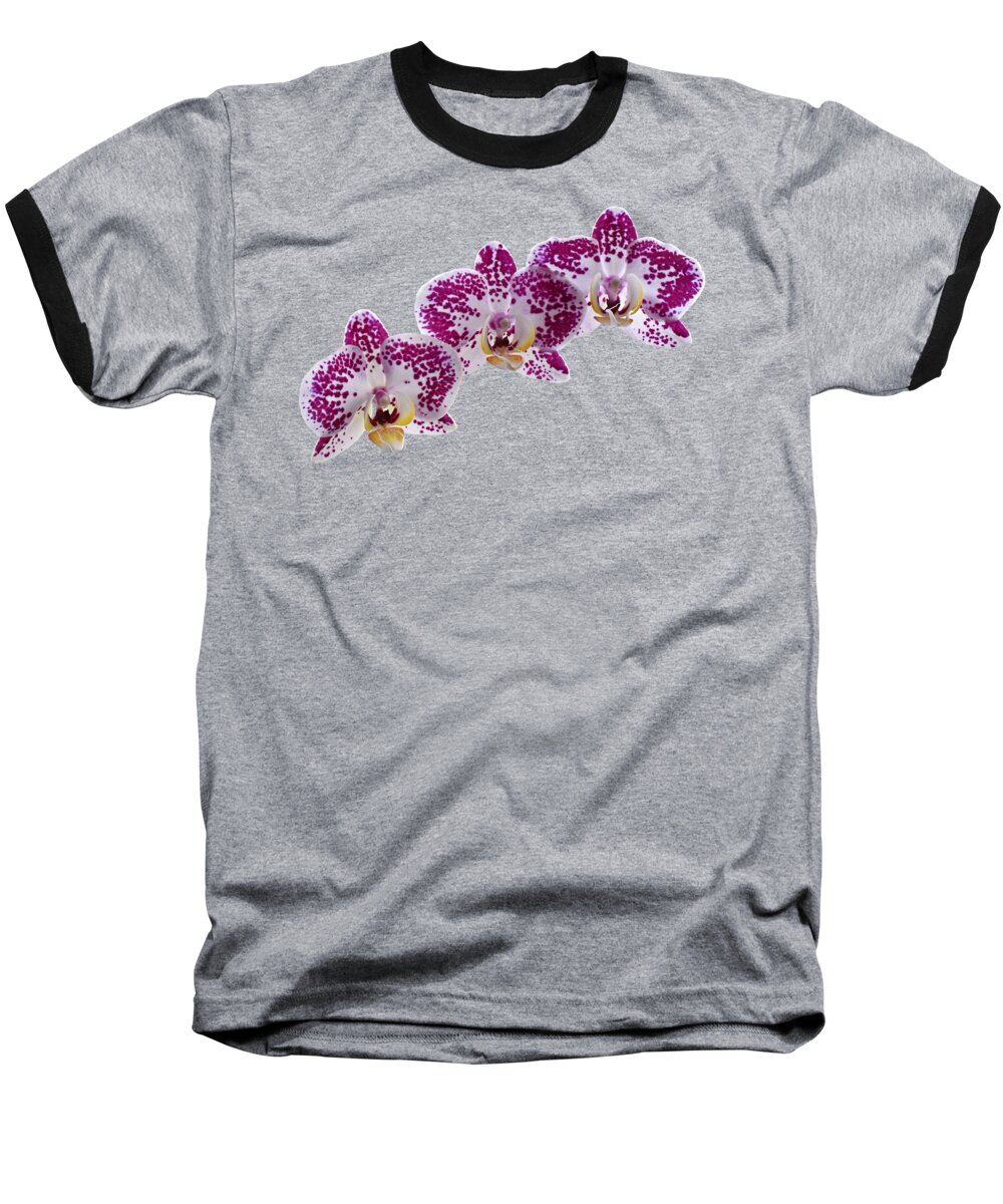 Orchid Baseball T-Shirt featuring the photograph Pink And White Orchid On Green by Gill Billington