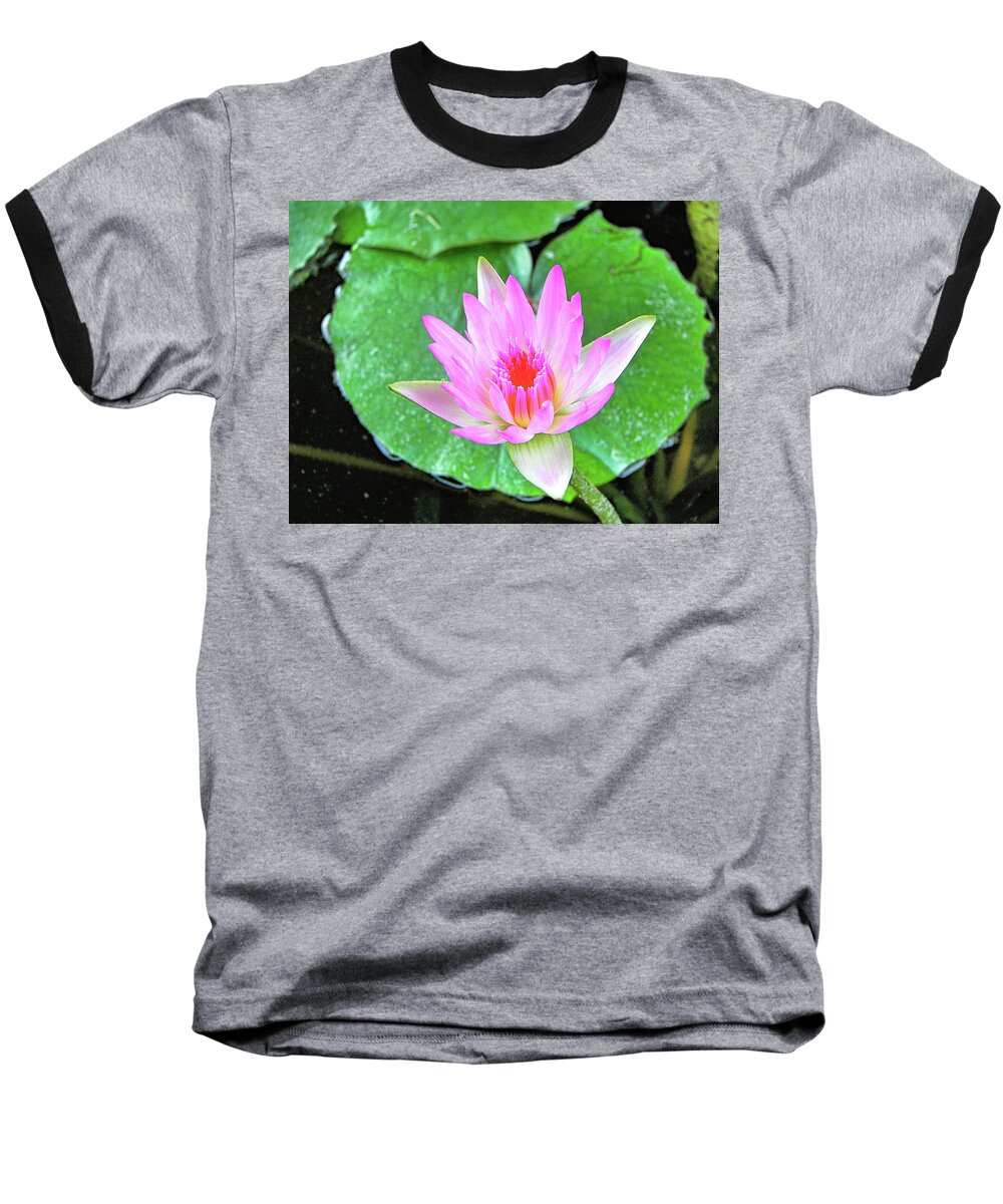Pink Baseball T-Shirt featuring the photograph Pink Waterlily Flower by David Lawson