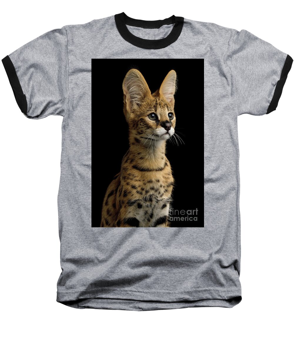 Portrait Baseball T-Shirt featuring the photograph Portrait of serval by Sergey Taran