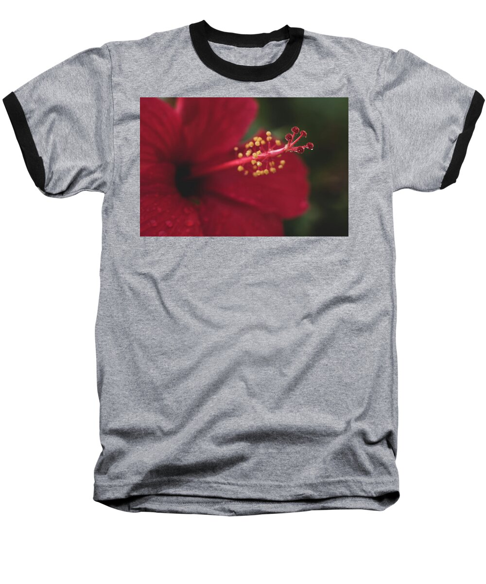 Flowers Baseball T-Shirt featuring the photograph Rain on Red Hibiscus by Adam Johnson