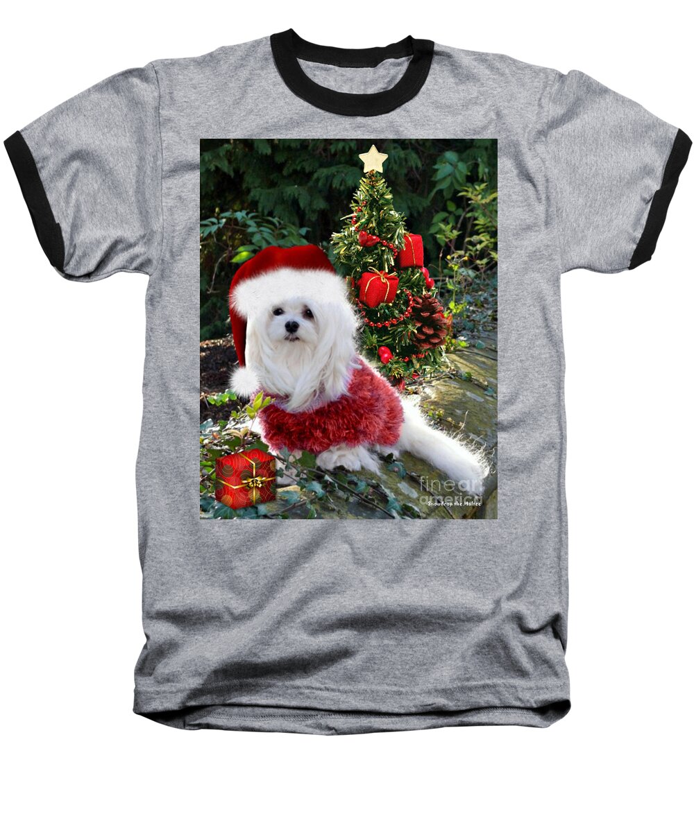 Maltese Dog Christmas Baseball T-Shirt featuring the mixed media Ready for Christmas by Morag Bates