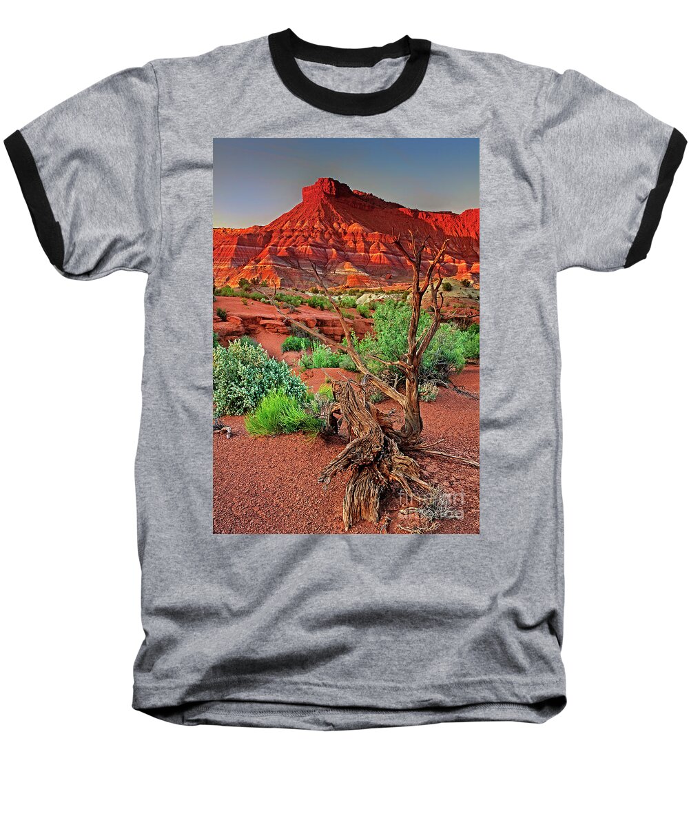 North America Baseball T-Shirt featuring the photograph Red Rock Butte And Juniper Snag Paria Canyon Utah by Dave Welling