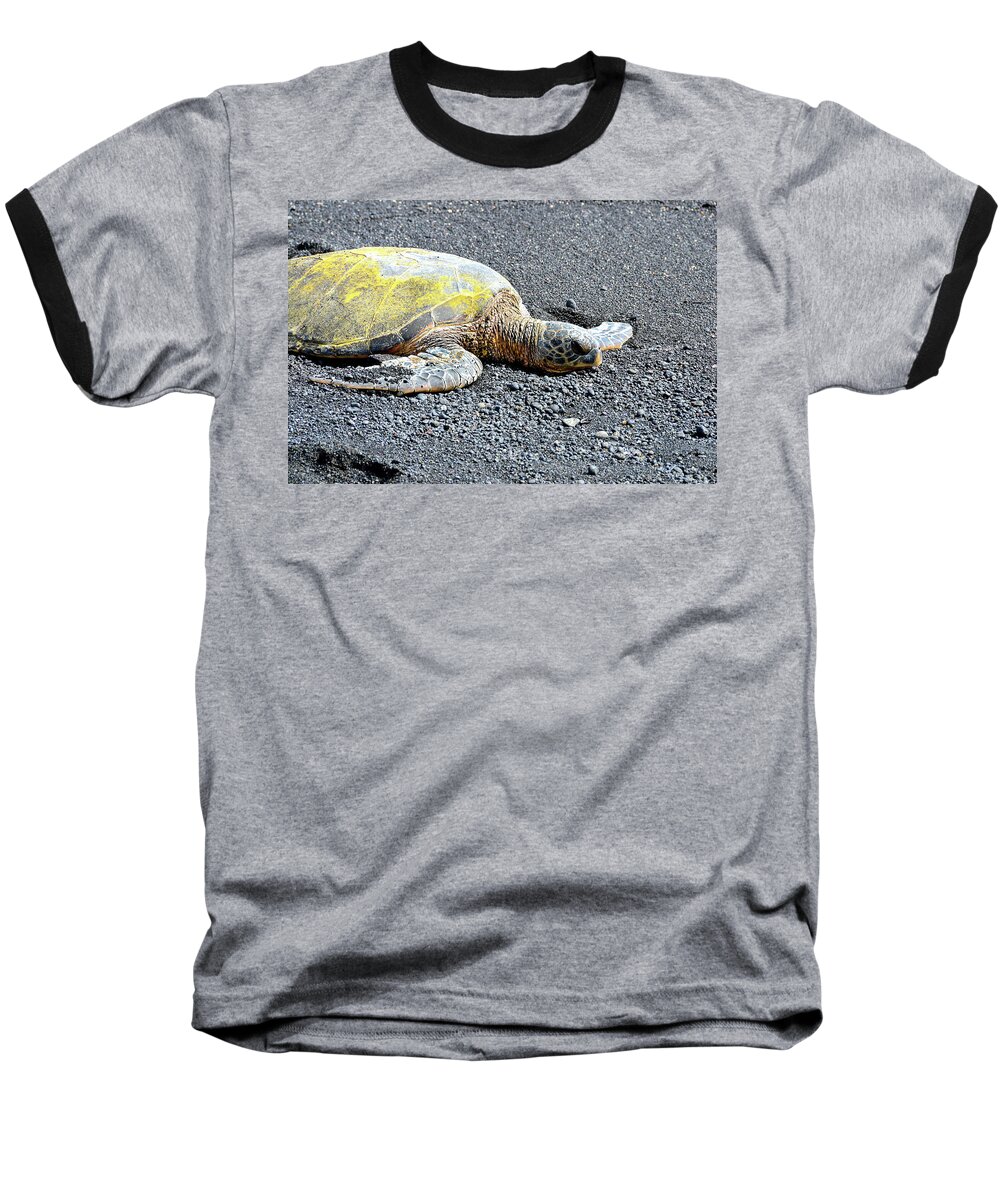 David Lawson Baseball T-Shirt featuring the photograph Rest Time by David Lawson