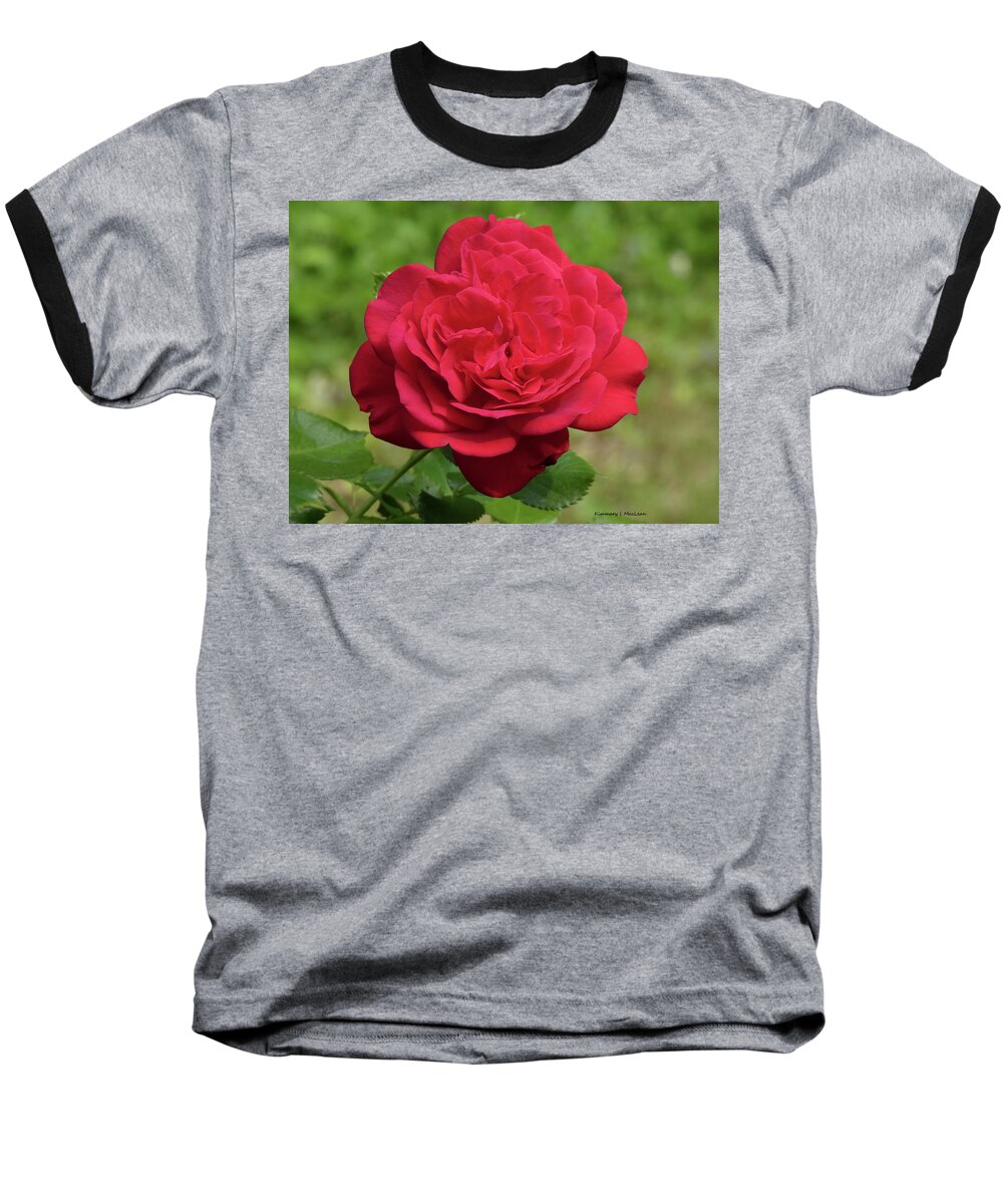 Rose Baseball T-Shirt featuring the photograph Rose by Kimmary I MacLean