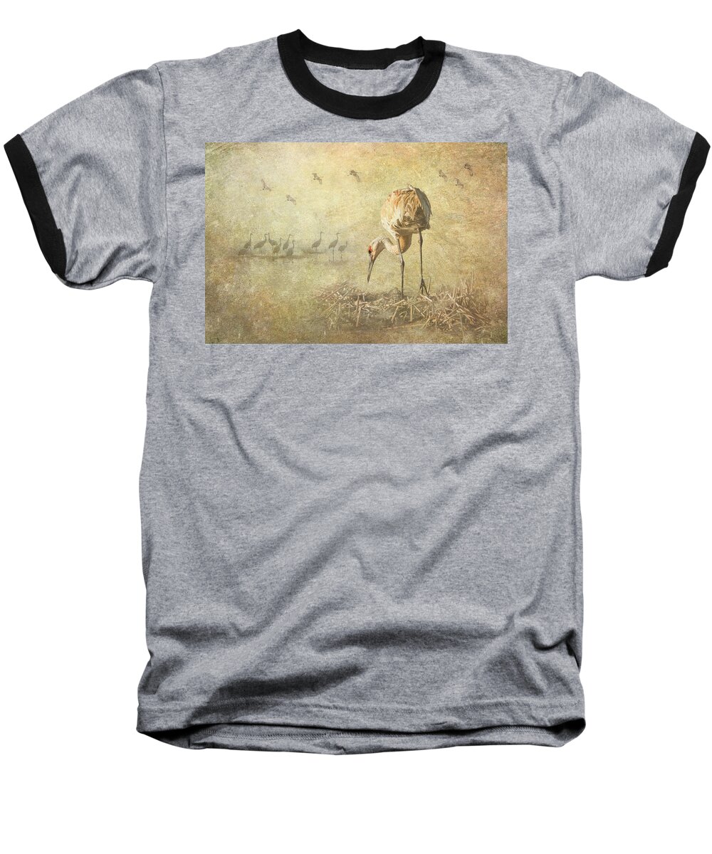 Sandhill Crane Baseball T-Shirt featuring the photograph Sandhill Crane Nesting Composite by Patti Deters