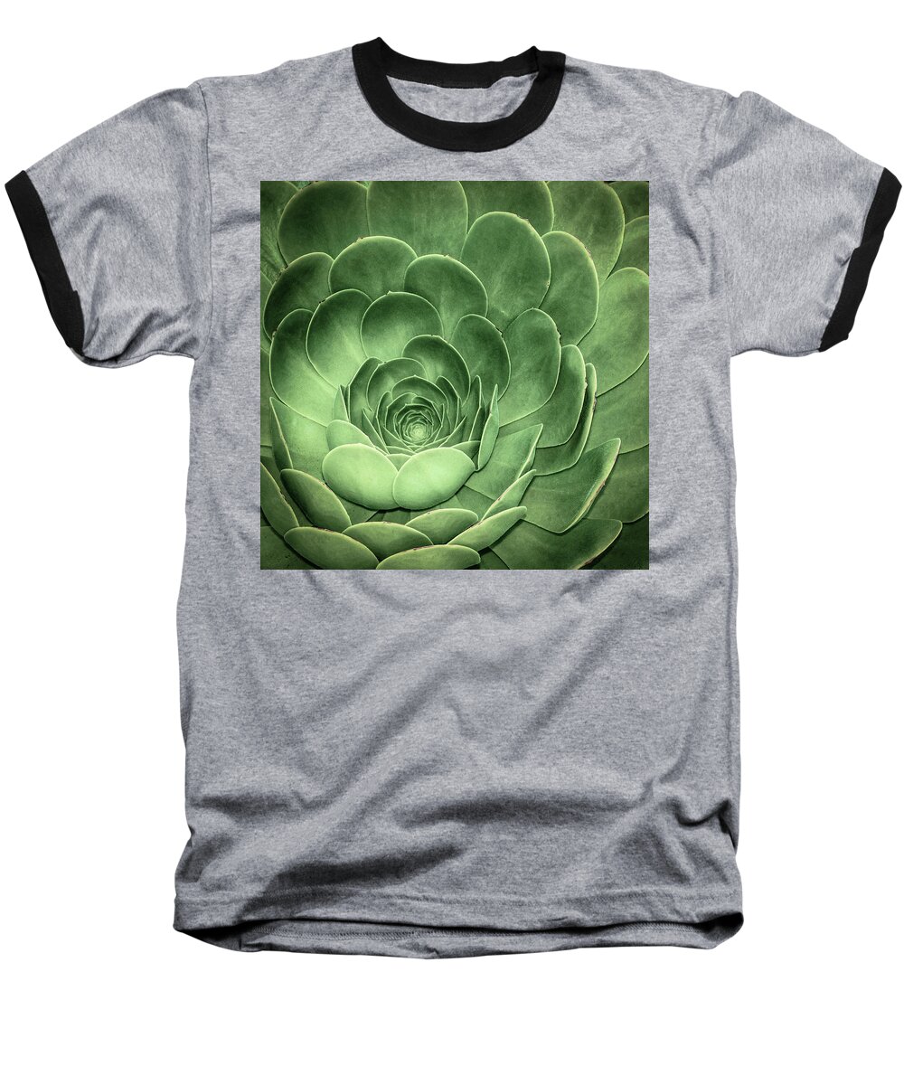 Environmental Baseball T-Shirt featuring the photograph Santa Barbara Succulent #3 by Jennifer Wright