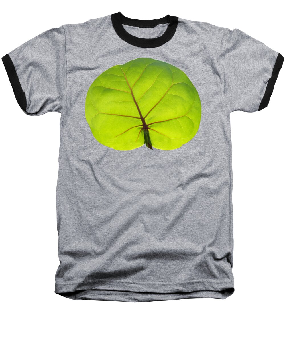 Duane Mcccullough Baseball T-Shirt featuring the photograph Seagrape Leaf Clear by Duane McCullough