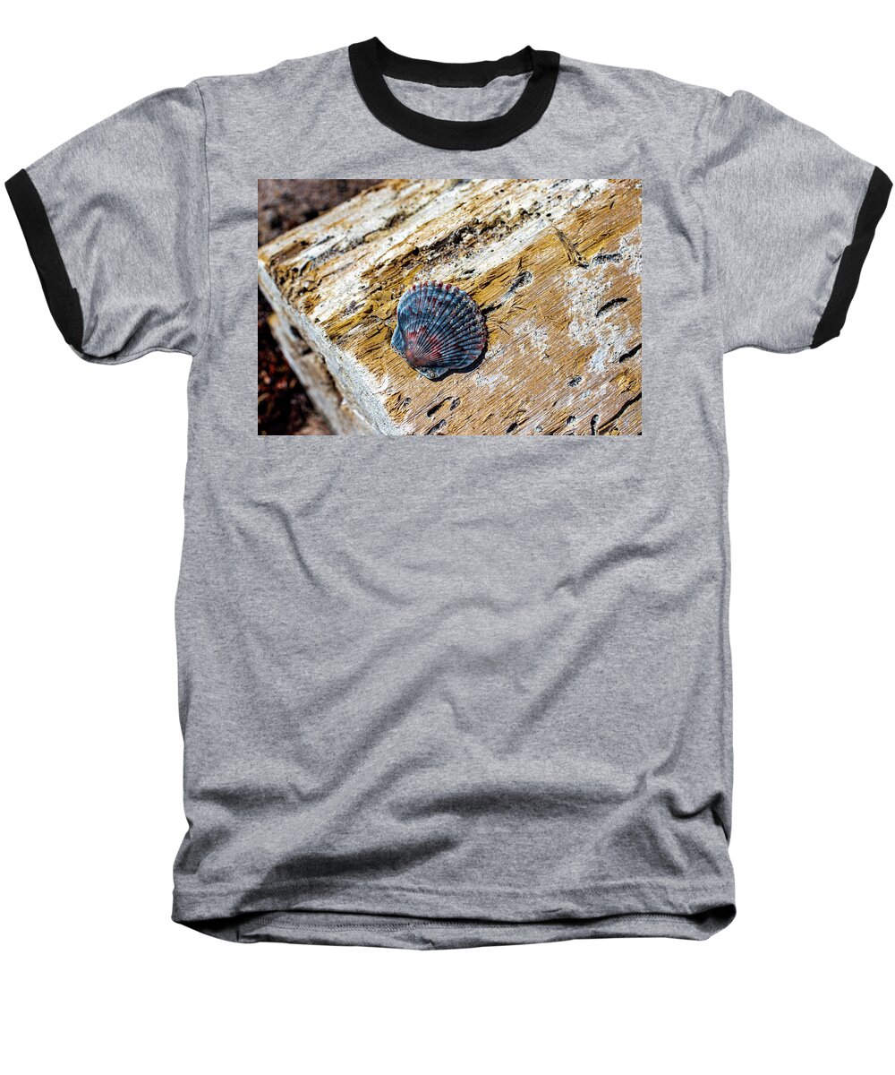 Shell Baseball T-Shirt featuring the photograph Shell Drifting by Blair Damson