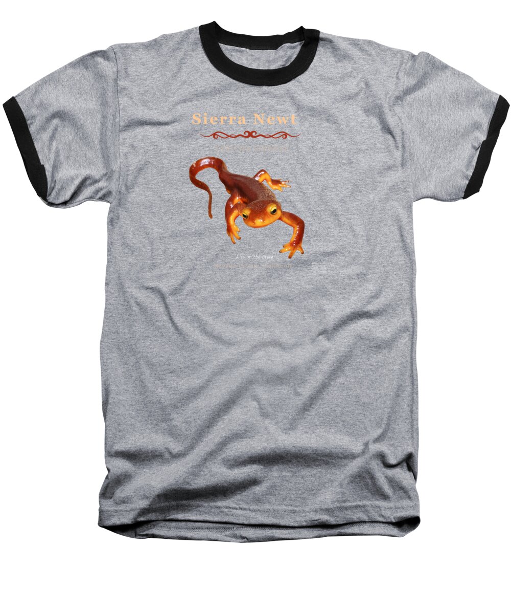 Sierra Newt Baseball T-Shirt featuring the digital art Sierra Newt Taricha Sierrae by Lisa Redfern