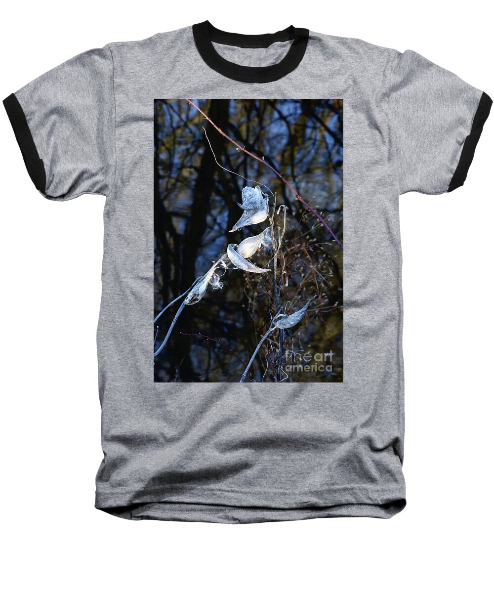 Leaves Baseball T-Shirt featuring the photograph Silvery Leaves of Winter by Margie Avellino