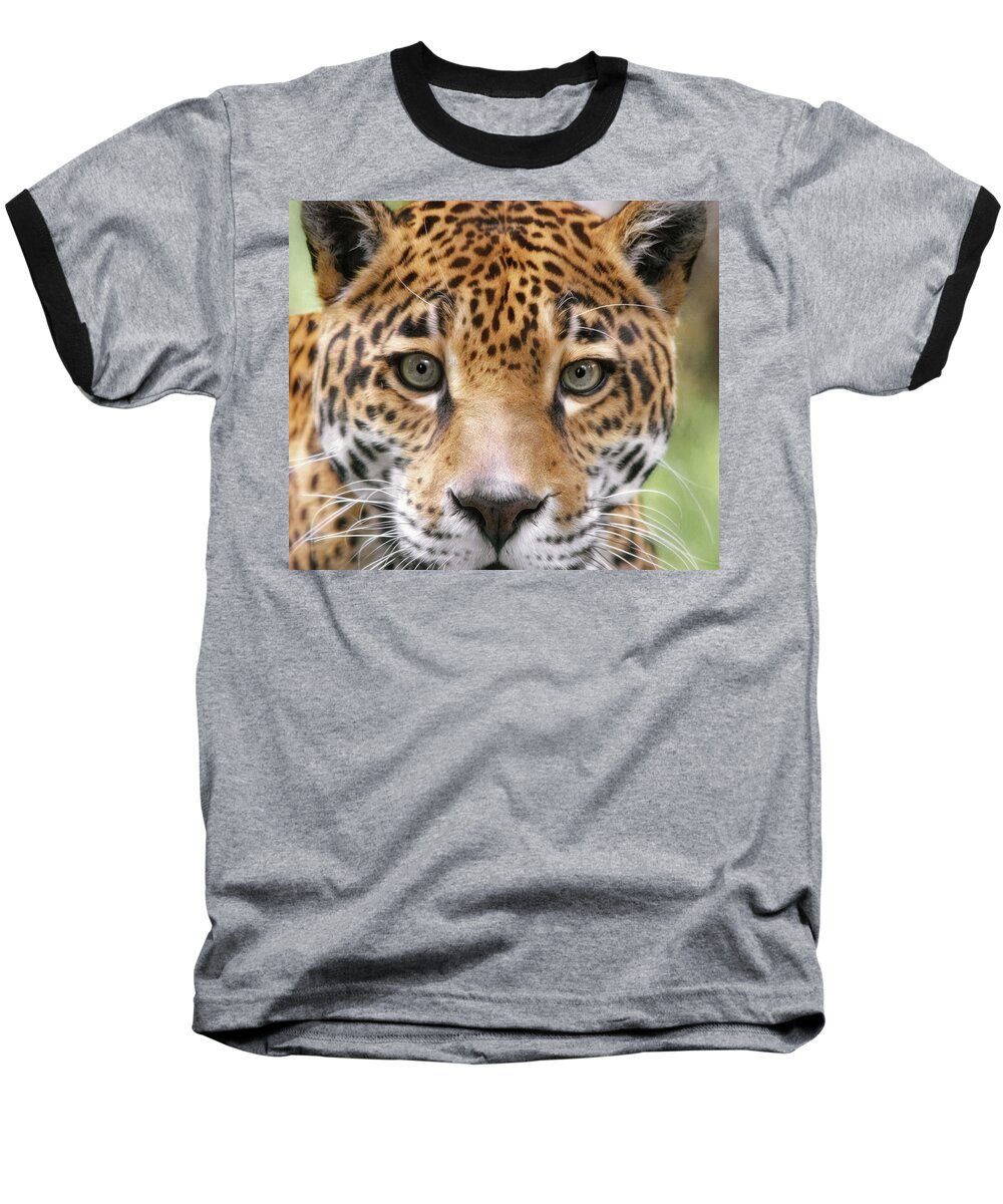 Jaguar Baseball T-Shirt featuring the photograph Soulful by Elaine Malott