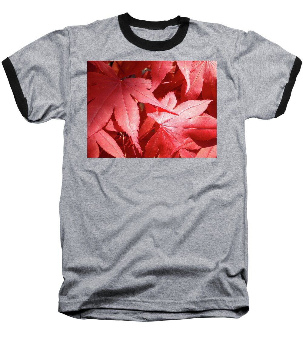 Leaf Baseball T-Shirt featuring the photograph Spring Leaves by Joseph A Langley