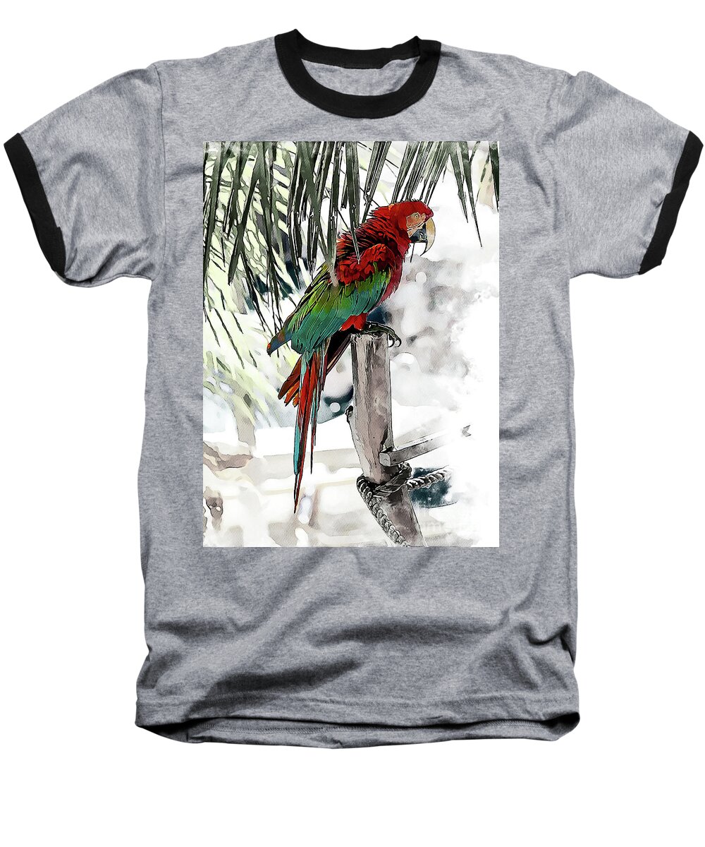 Macaw Baseball T-Shirt featuring the photograph Steel Drummer by David Smith
