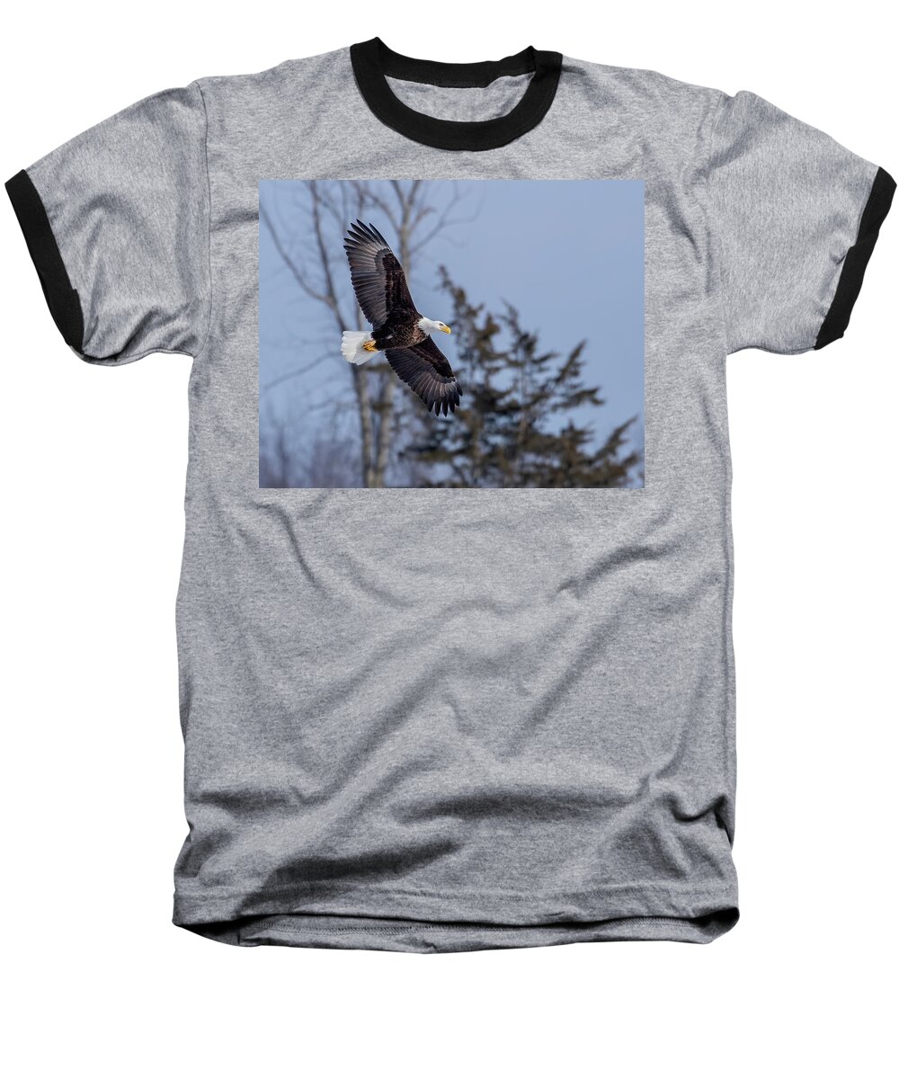 Eagle Baseball T-Shirt featuring the photograph Strength and Grace by Rod Best