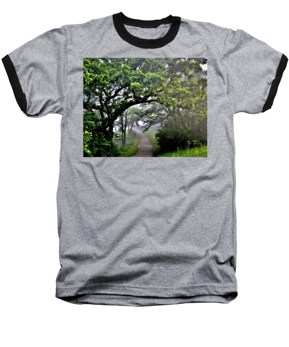 Fog Baseball T-Shirt featuring the photograph Summer Path by Susie Loechler