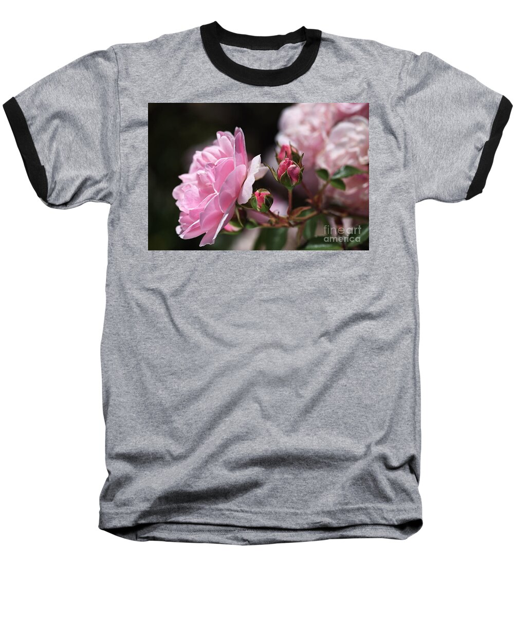 Floribunda Rose Baseball T-Shirt featuring the photograph Summer Roses by Joy Watson