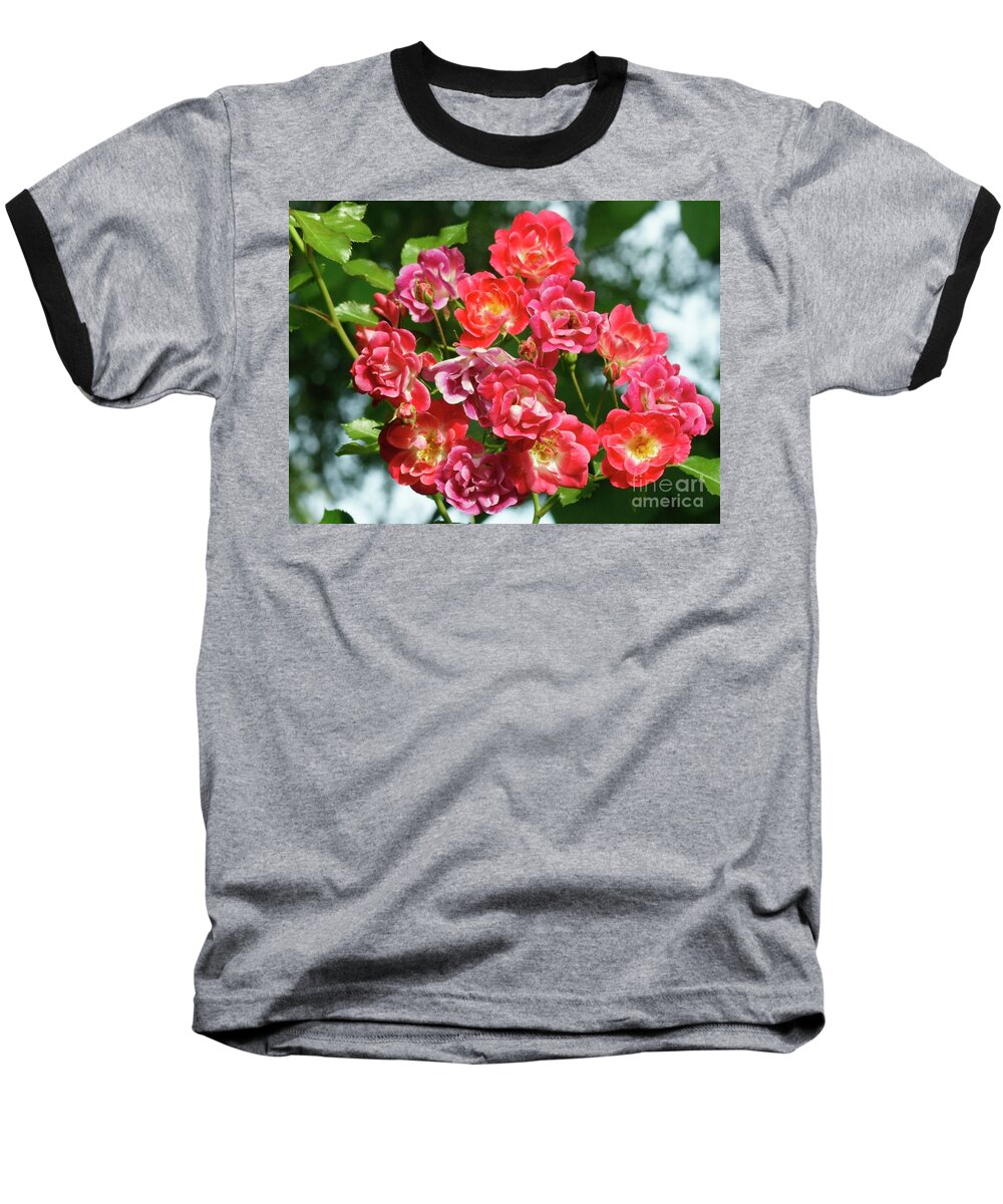 Roses Baseball T-Shirt featuring the photograph Summertime Hibiscus by Margie Avellino