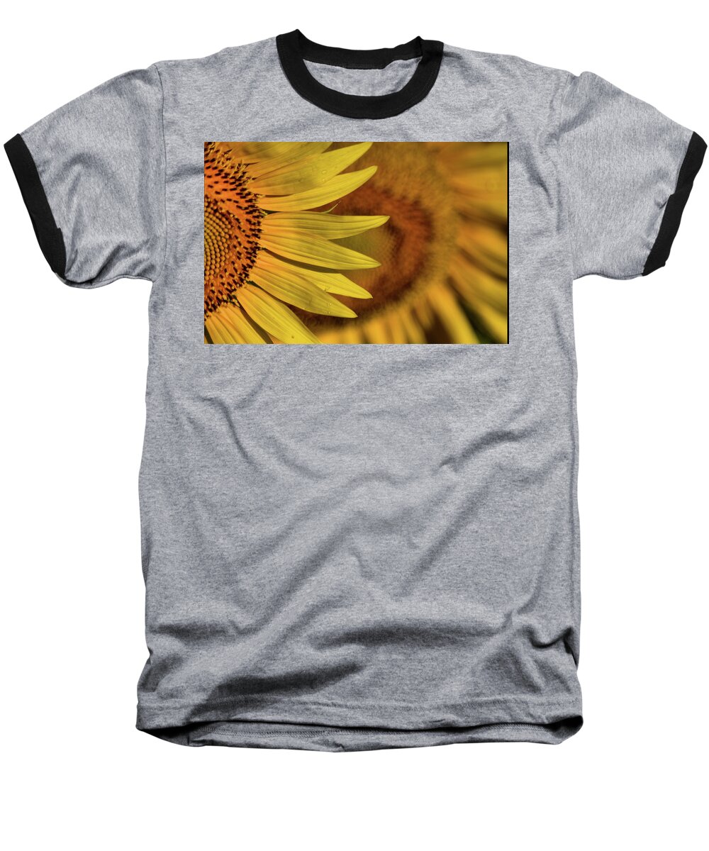Plants Baseball T-Shirt featuring the photograph Sun-sational by Buddy Scott