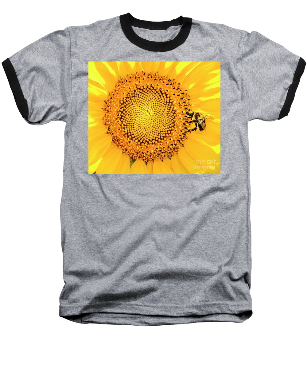 Cathy Donohoue Photography Baseball T-Shirt featuring the photograph Sunflower and Bee by Cathy Donohoue