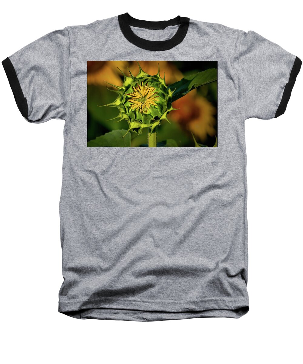 Plants Baseball T-Shirt featuring the photograph Sunflower Bud by Buddy Scott
