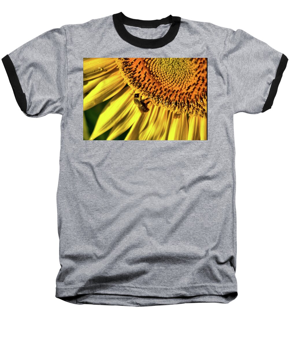 Flowers Baseball T-Shirt featuring the photograph Sunny bee by Buddy Scott