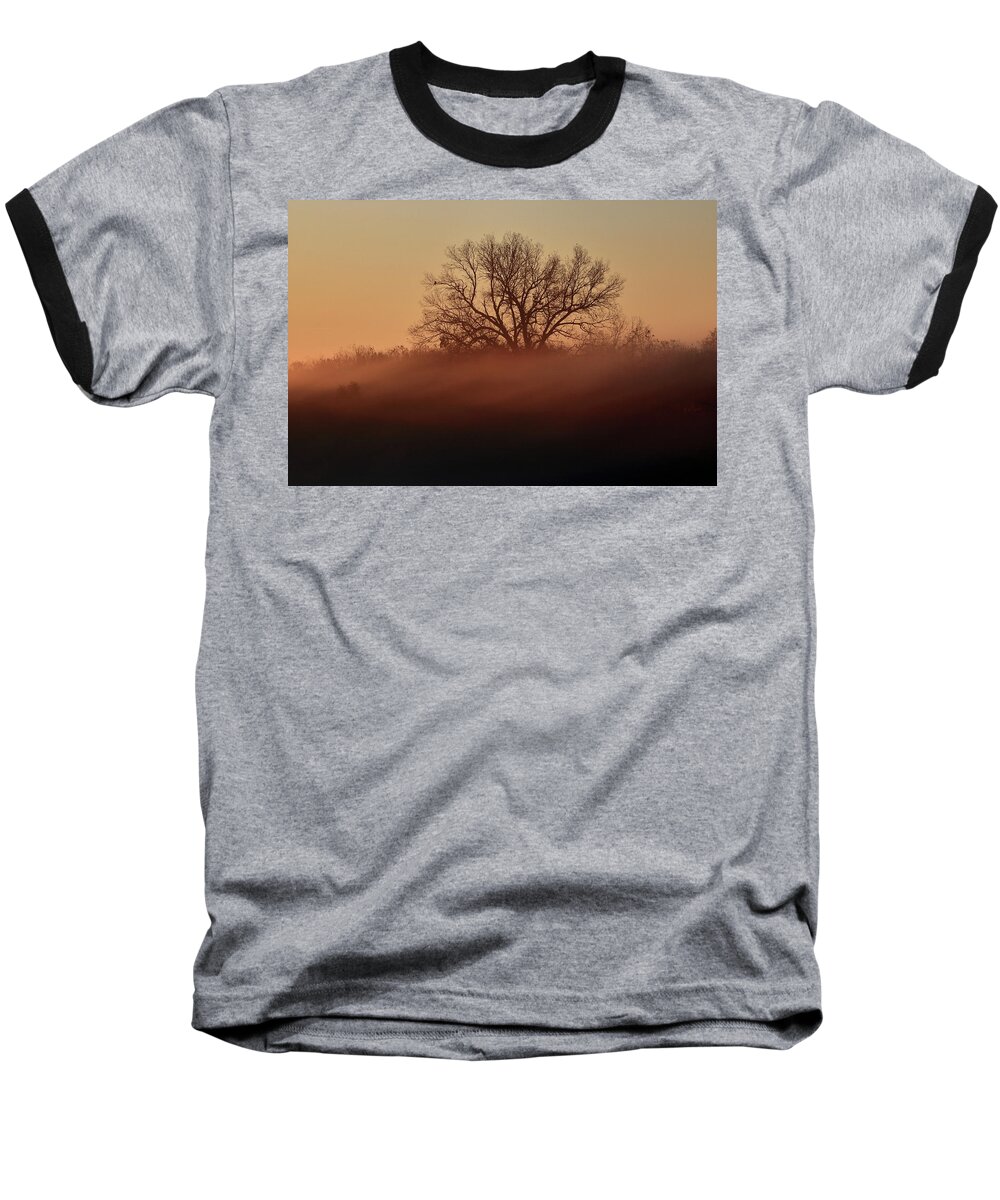 Sunrise Baseball T-Shirt featuring the photograph Sunrise in the Forest by Daniel Koglin