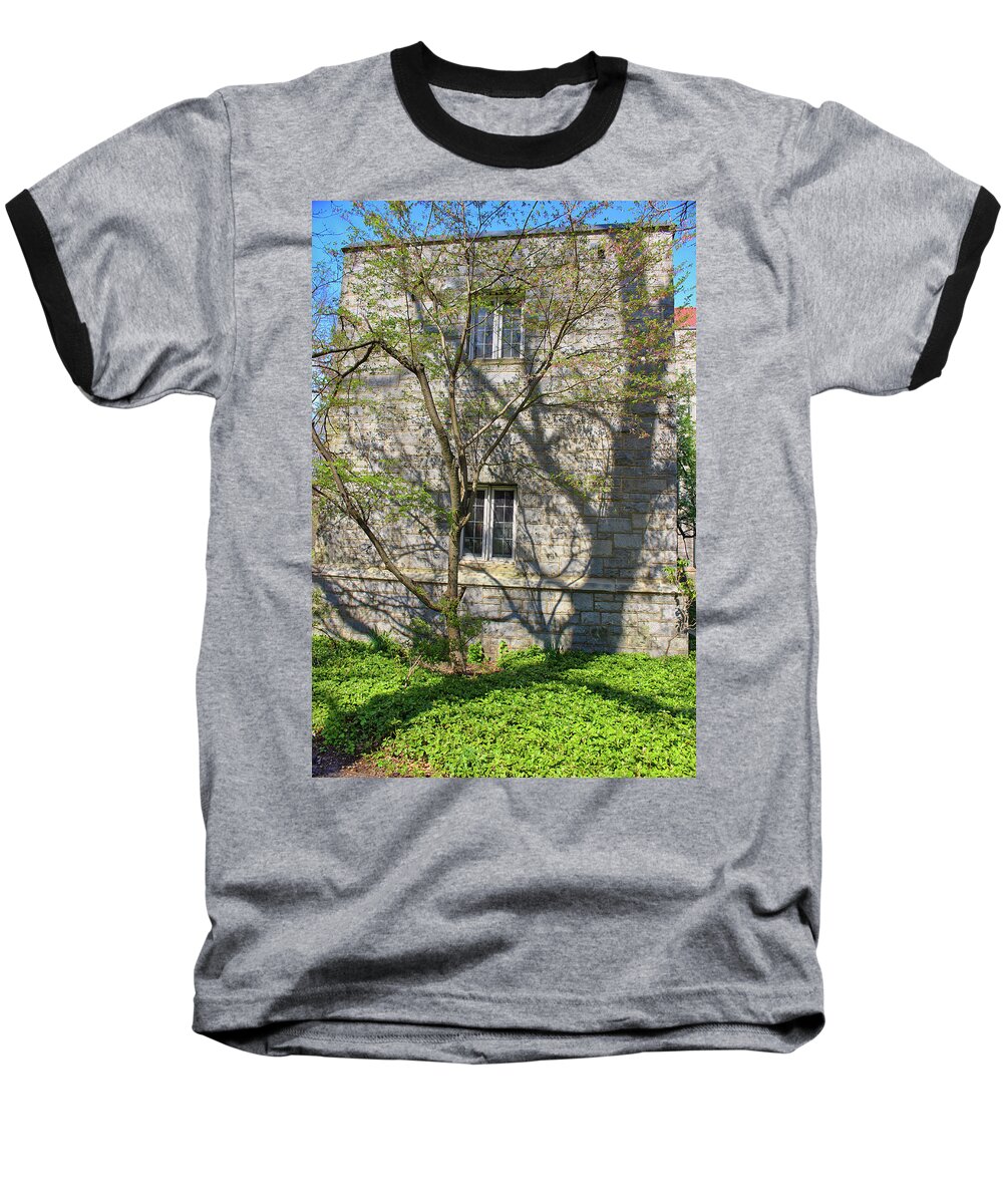 Sw Bowne Baseball T-Shirt featuring the photograph SW Bowne Drew University - Tree and Shadow by Christopher Lotito