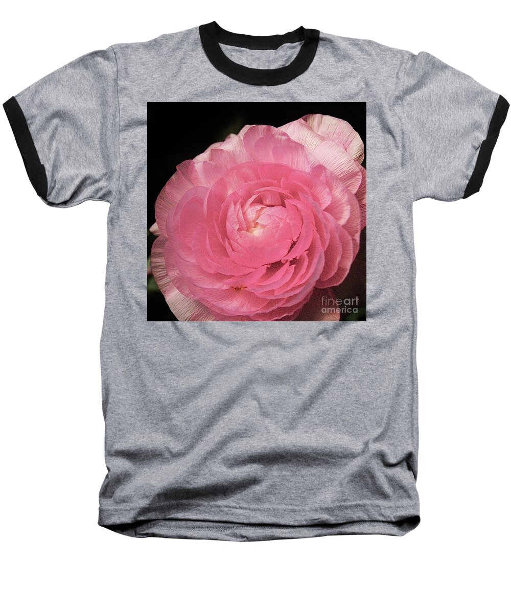 Rose Blossom Baseball T-Shirt featuring the photograph Textures in Pink by Margie Avellino