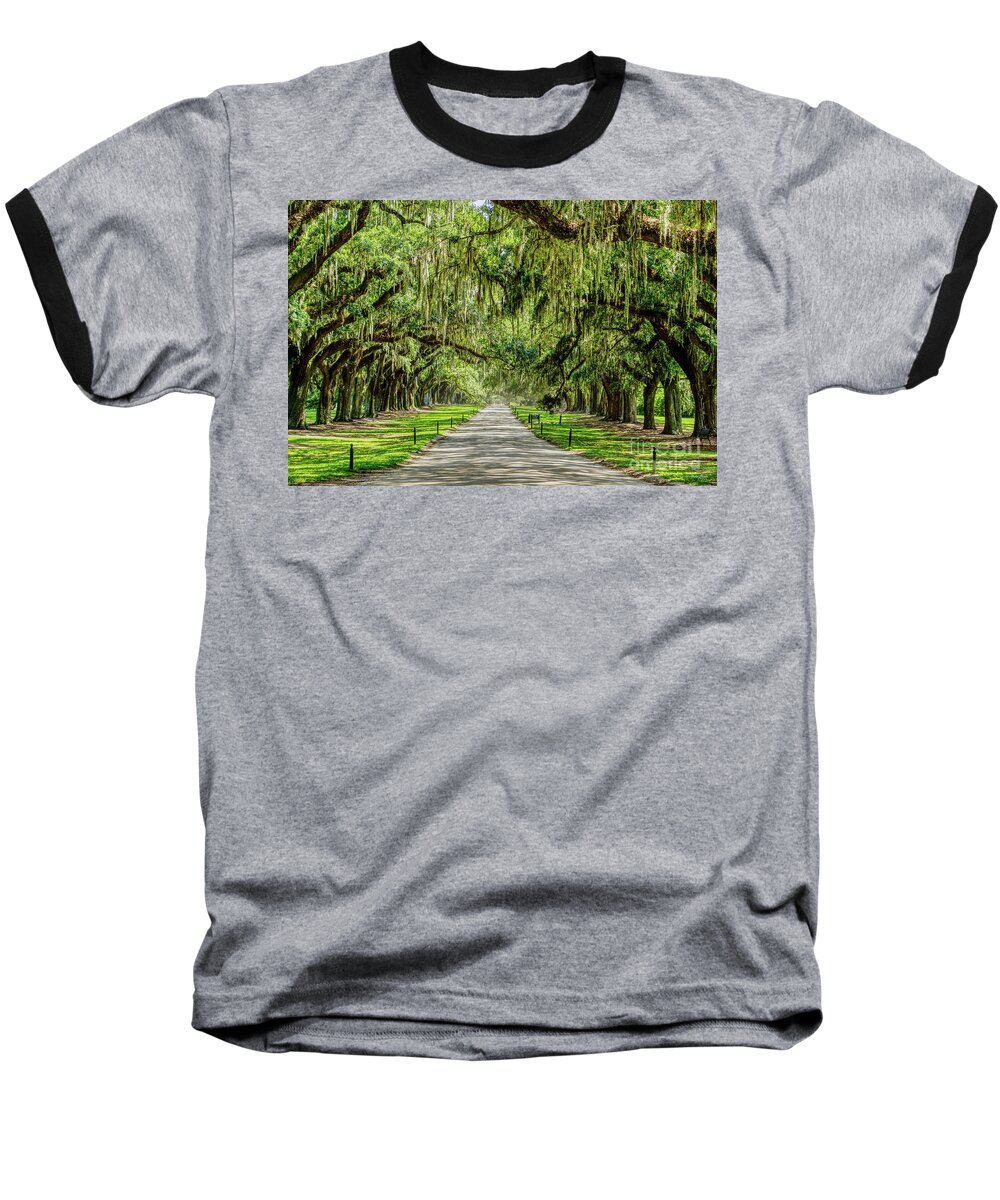 Avenue Of Oaks Baseball T-Shirt featuring the photograph The Beautiful Avenue Of Oaks by Jennifer White