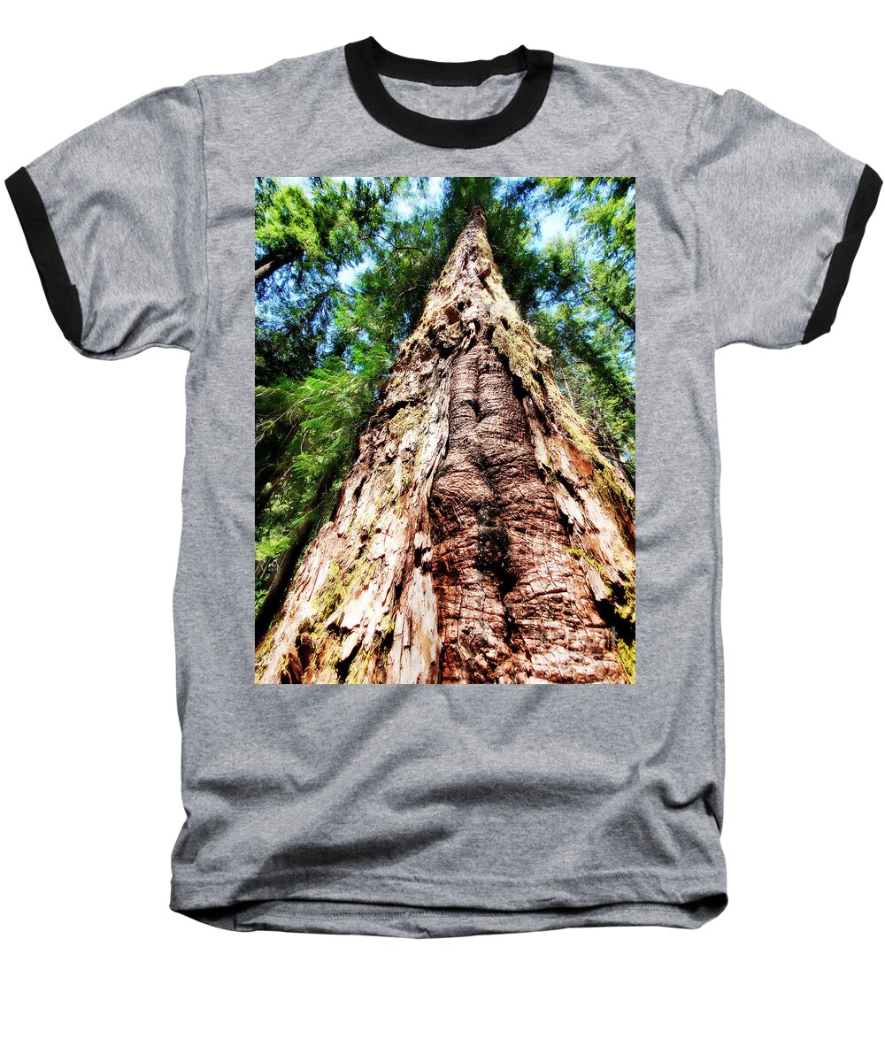 Tree Baseball T-Shirt featuring the photograph The Brightest Tree by Janie Johnson