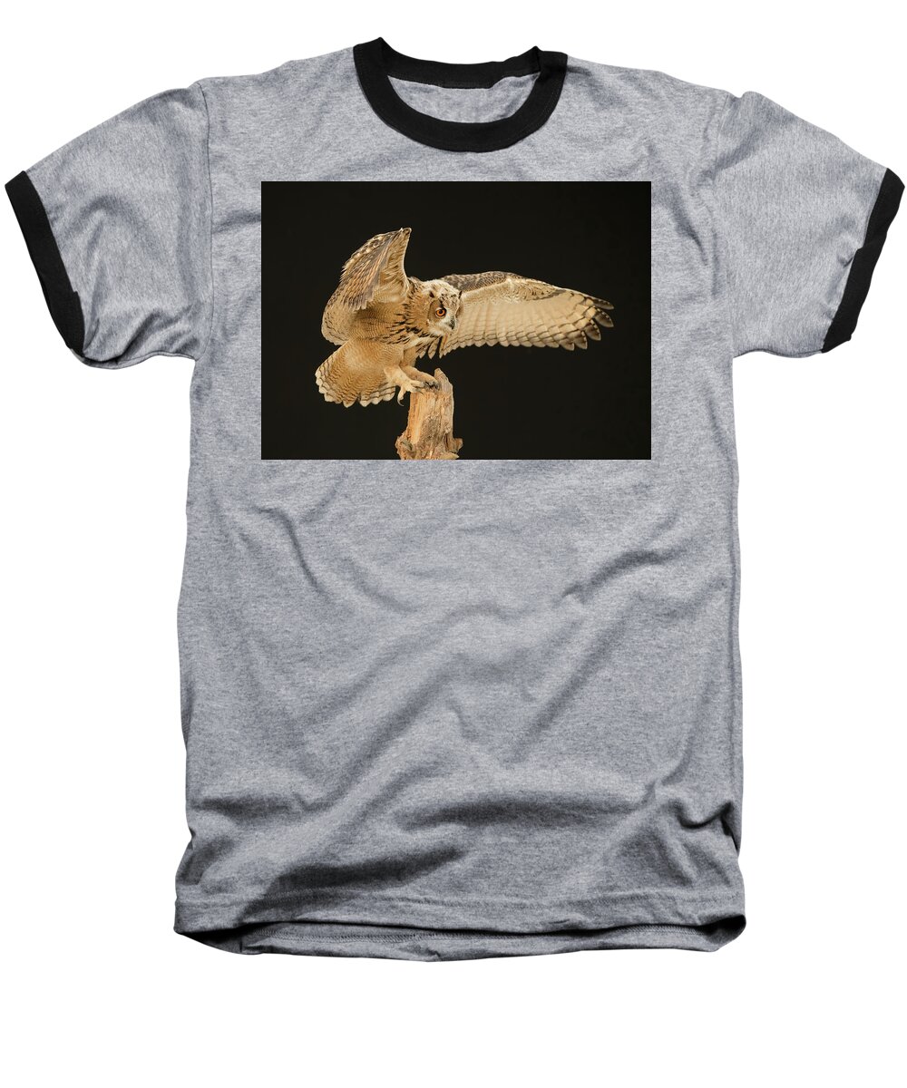 Eurasian Eagle-owl Baseball T-Shirt featuring the photograph The Eagle-Owl Has Landed by CR Courson