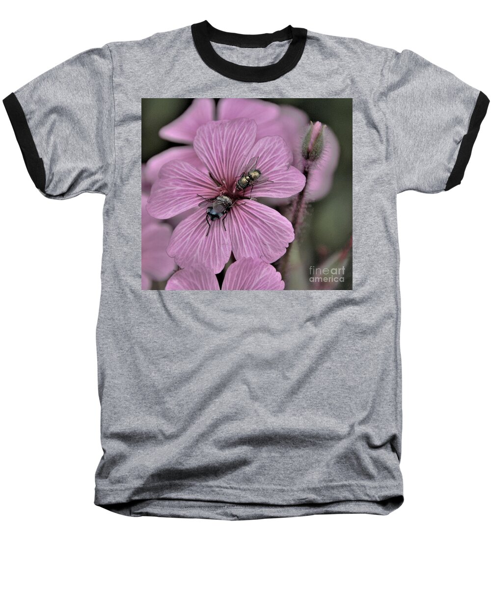Bugs Baseball T-Shirt featuring the photograph The Gathering by Tracey Lee Cassin