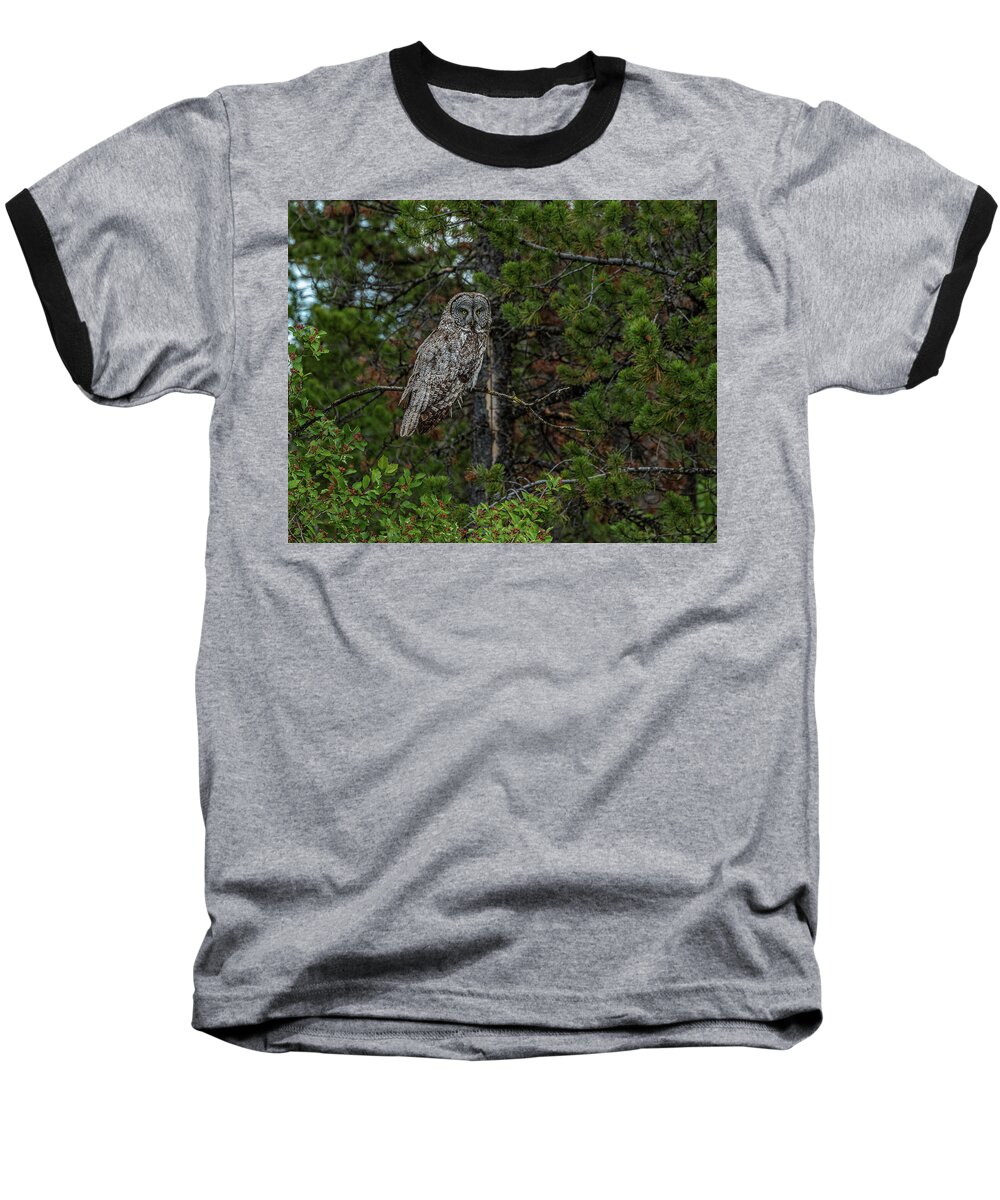 Great Grey Baseball T-Shirt featuring the photograph The Great Grey Ghost In The Forest by Yeates Photography