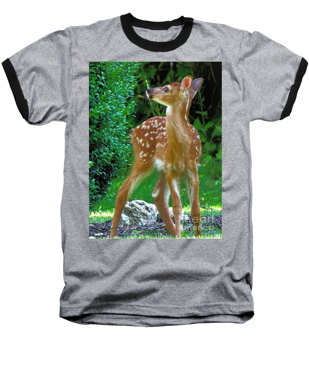 Deer Baseball T-Shirt featuring the photograph Things Are Looking Up by Tami Quigley