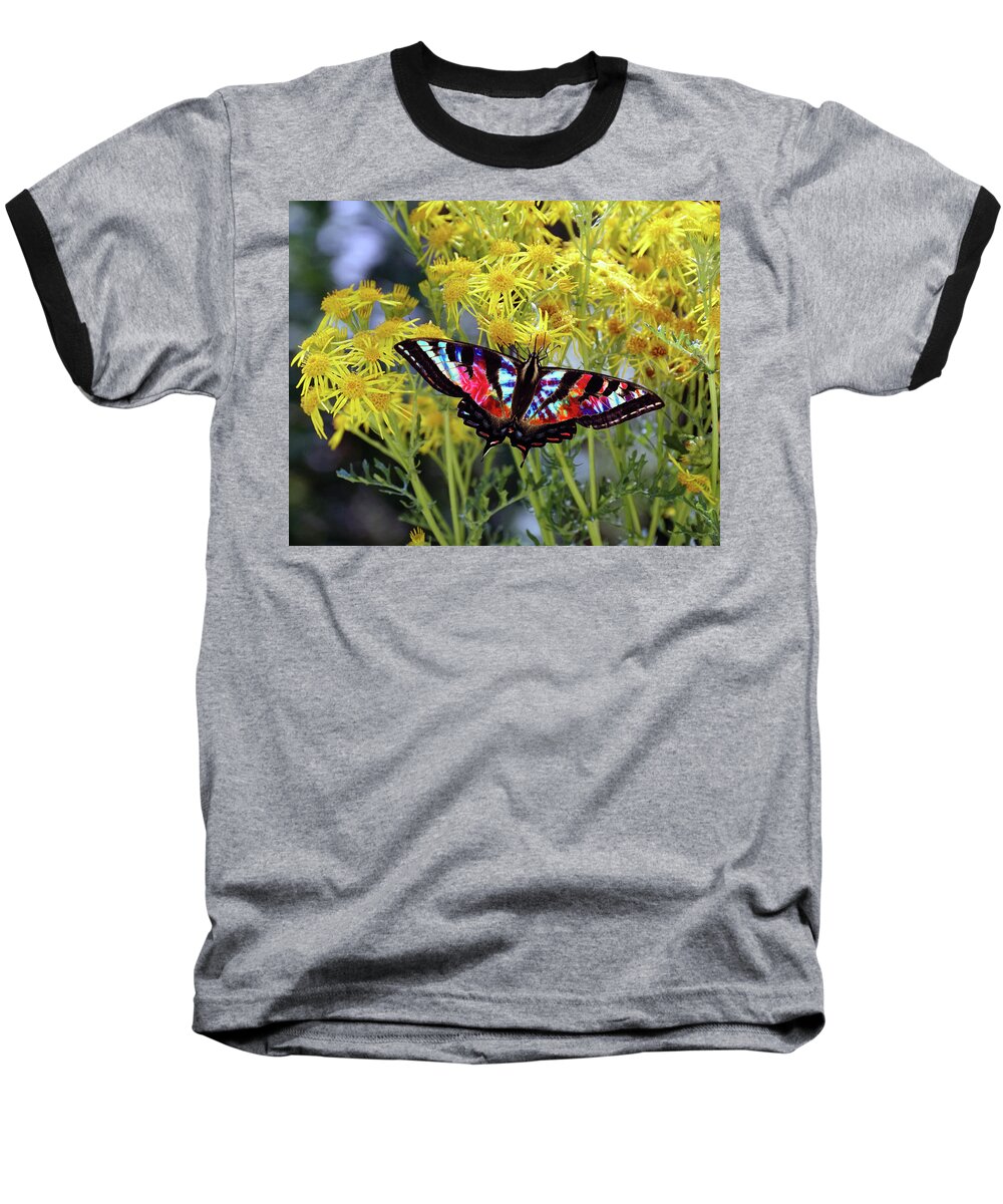 Butterflies Baseball T-Shirt featuring the photograph Tie-Dye Butterfly #3 by Ben Upham III