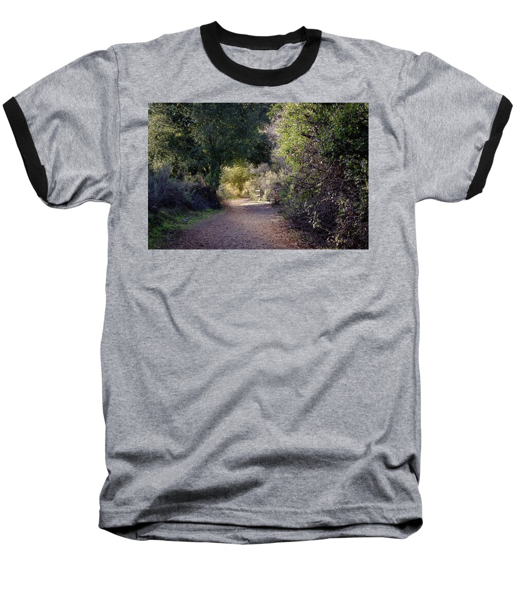 Trail Baseball T-Shirt featuring the photograph Trail With Trees by Alison Frank