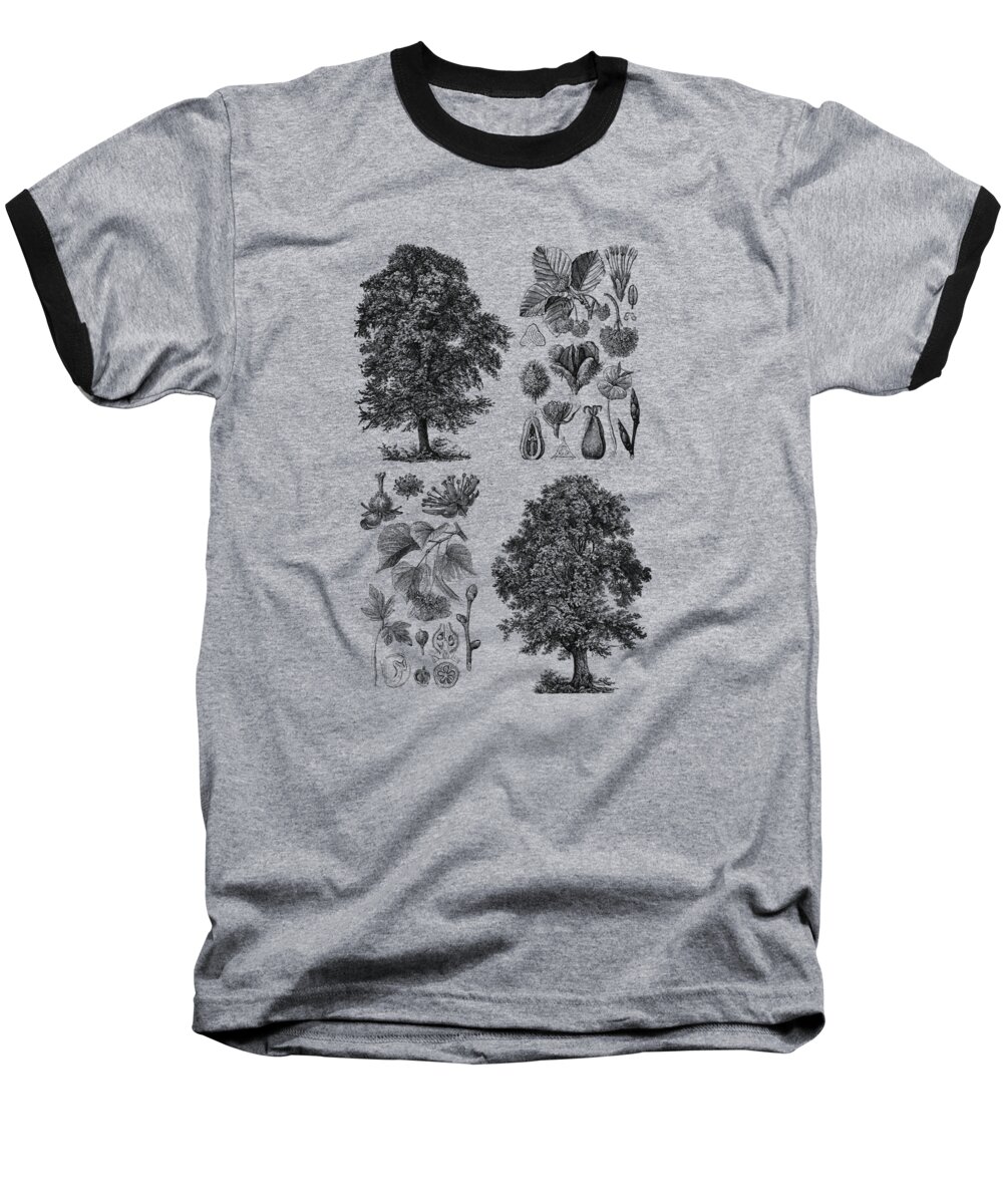Tree Baseball T-Shirt featuring the mixed media Trees and seeds by Madame Memento
